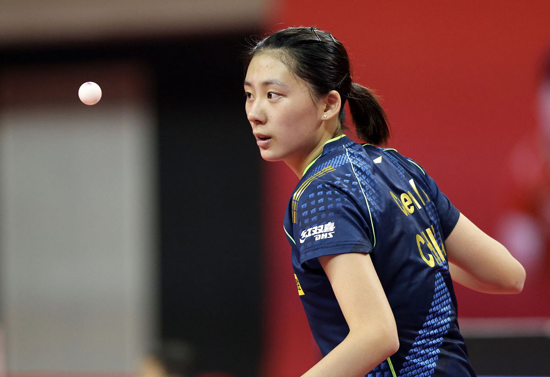 尽致的展现 尽致的展现