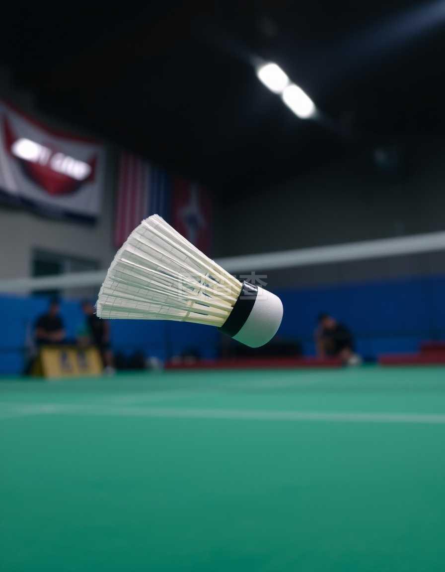 应该从以下 应该从以下