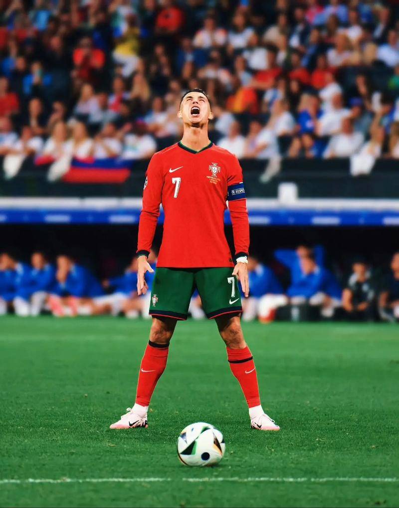 能否将这些 能否将这些